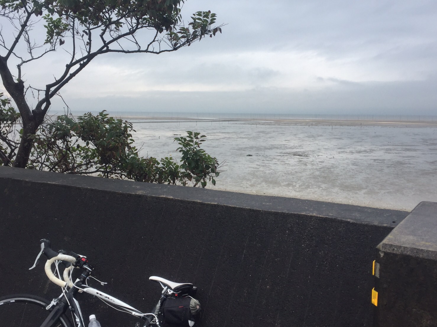 【名古屋～長崎】Day10 有明海とくまもん【大分～熊本】【自転車】