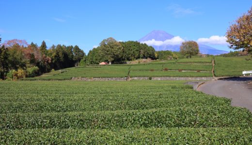 【秋／修善寺】観て遊んで食べて、大満足の1泊2日温泉旅行記