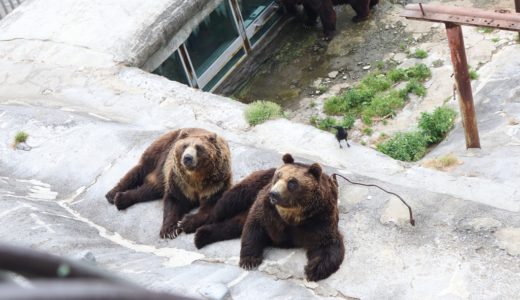 【夫婦旅】北海道！富良野・札幌・登別を巡る三泊四日の旅