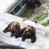 【夫婦旅】北海道！富良野・札幌・登別を巡る三泊四日の旅