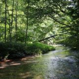 【夫婦旅】青森から函館へ。津軽海峡をフェリーで渡る三泊四日の旅。【奥入瀬渓谷・白神山地・函館】